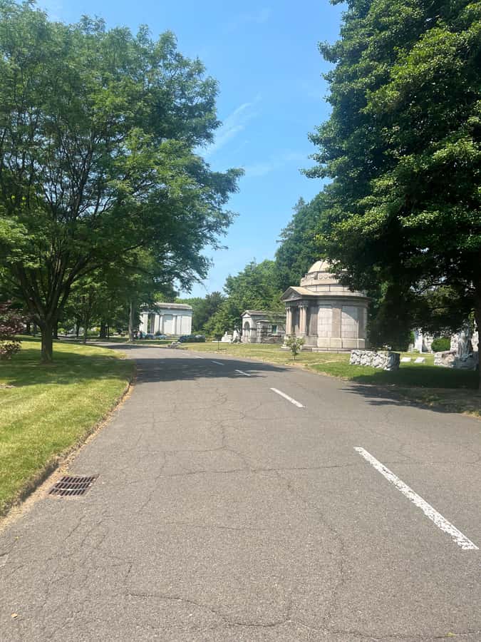 NYC: Bronx Subway and Walking Tour with Bronx Little Italy - FAQ