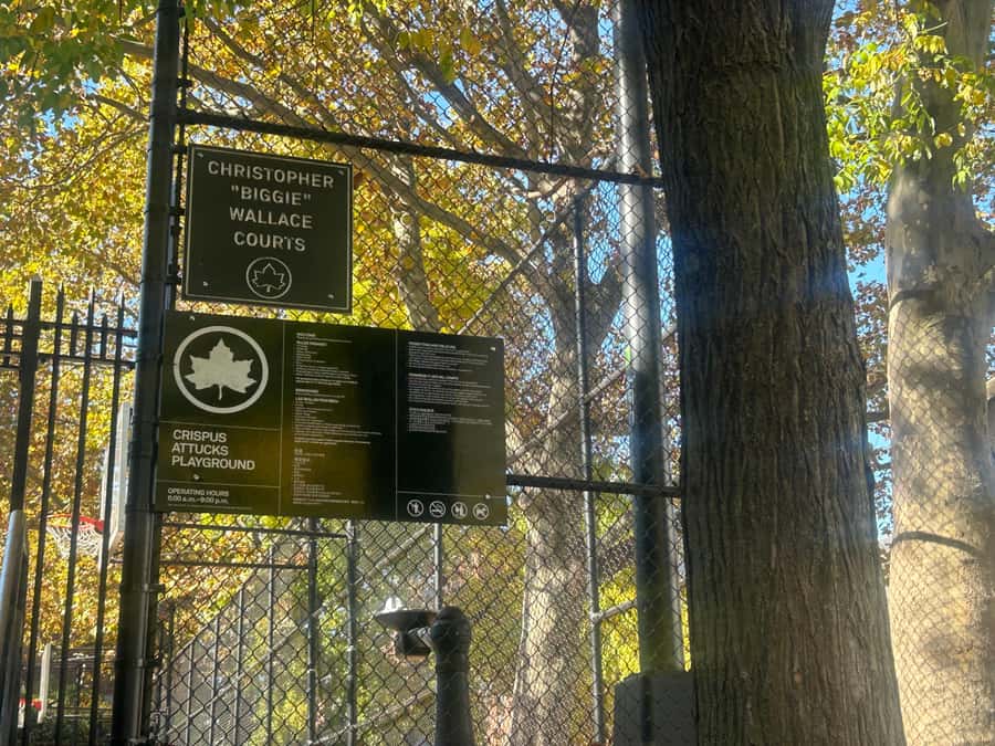 NYC, Brooklyn: Notorious Biggie Smalls Themed Walking Tour - How much walking you should expect in 150 minutes