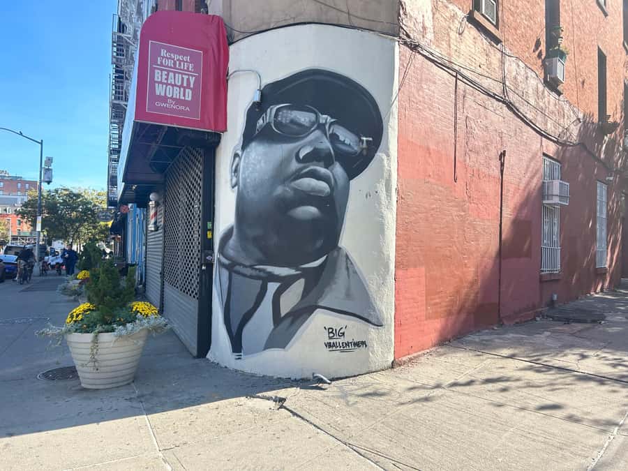 NYC, Brooklyn: Notorious Biggie Smalls Themed Walking Tour - Marcus Hillman sets the tone, funny when it counts