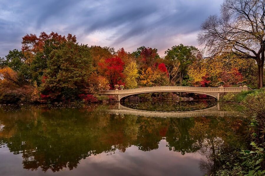 NYC: Central Park Christmas Lights Horse-Drawn Carriage Ride - Key things to know before you go