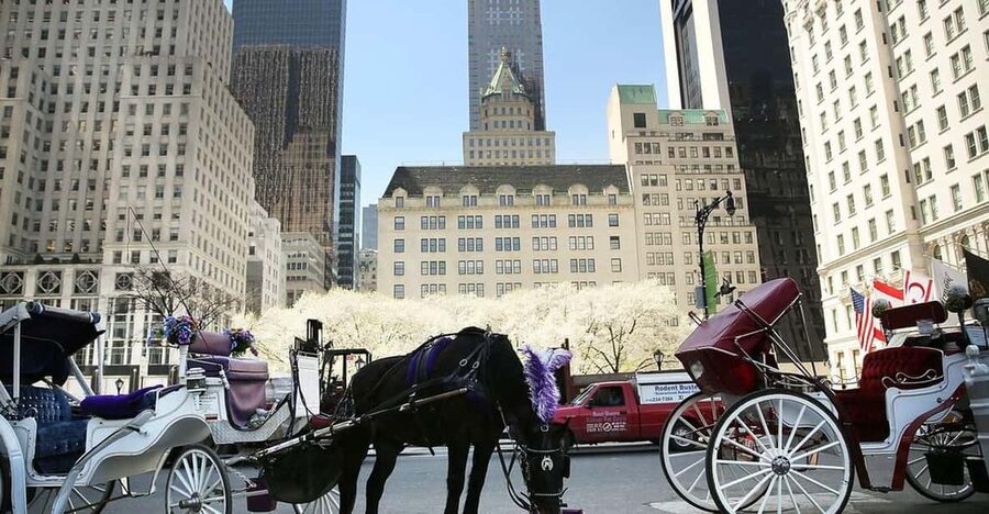 NYC: Central Park Christmas Lights Horse-Drawn Carriage Ride - A 45-Minute Private Ride Through Central Park Christmas Lights