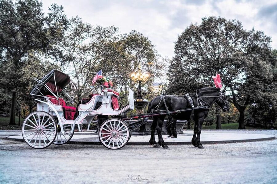 NYC: Central Park Christmas Lights Horse-Drawn Carriage Ride - Price and Value: When $275 Per Group Makes Sense