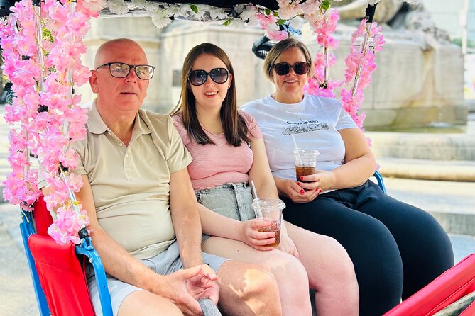 NYC Central Park guided Pedicab Tour - 2 hours - The Mall and Literary Walk, Cherry Hill, and Bow Bridge for picture-perfect pauses