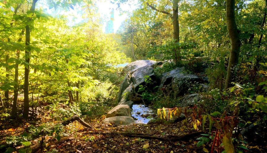NYC: Central Park Guided Walking Tour English-Spanish - Alice in Wonderland, the Ramble, and Belvedere Castle