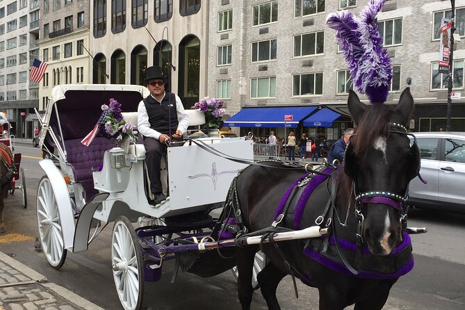 NYC Central Park Horse and Carriage Ride: Long Ride 45 min - Central Park Carousel and Heckscher Playground: the “families live here” stretch
