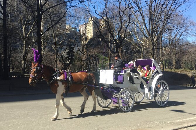 NYC Central Park Horse and Carriage Ride: Long Ride 45 min - Lake photo stop and Conservatory Water: where the ride slows for pictures