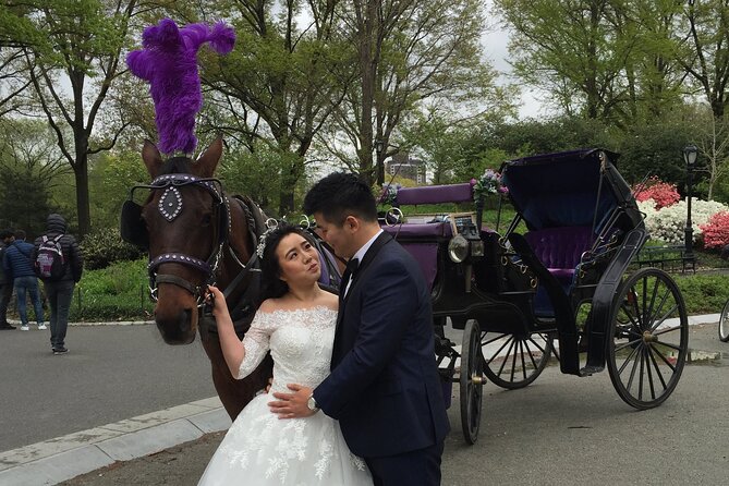 NYC Central Park Horse and Carriage Ride: Long Ride 45 min - South End icons: Bethesda Terrace, Strawberry Fields, and John Lennon’s Dakota area
