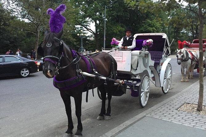 NYC Central Park Horse and Carriage Ride: Long Ride 45 min - Wollman Rink, seasonal Central Park moods, and the ride back to 7th Avenue