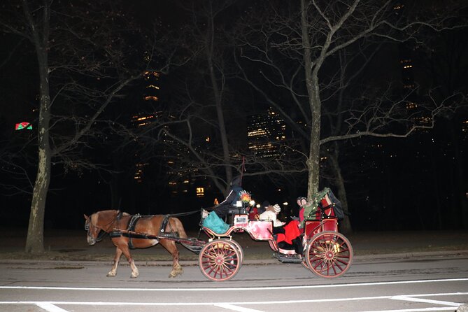NYC Central Park Horse Carriage Ride (Up to 4 Adults) - Stop-by-Stop: Martí to Columbus Circle in One Easy Loop