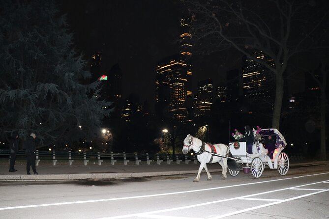 NYC Central Park Horse Carriage Ride (Up to 4 Adults) - Best Time to Go and How to Stay Comfortable