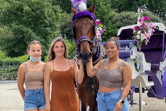 NYC Central Park Horse Carriage Rides (Winter sale) - Key things I’d plan around