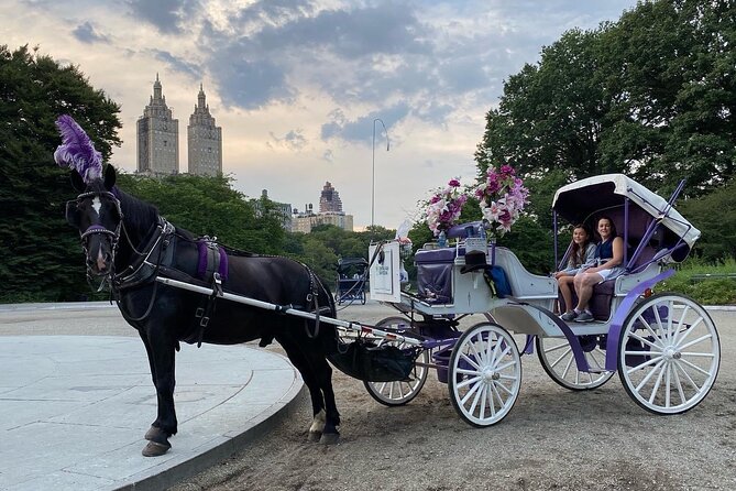 NYC Central Park Horse Carriage Rides (Winter sale) - Meeting at 7th Avenue and West 59th Street, then settling in