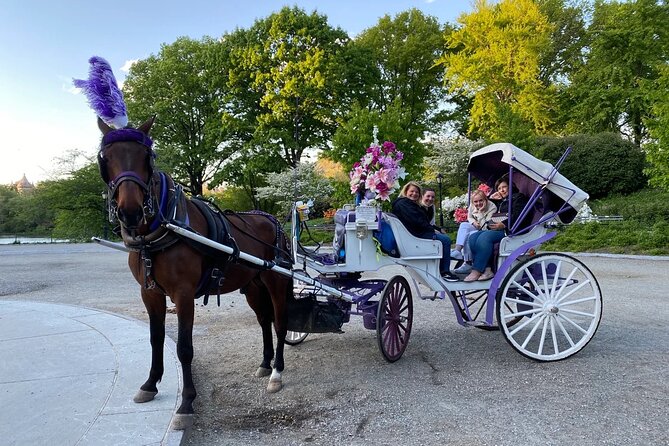 NYC Central Park Horse Carriage Rides (Winter sale) - The route, in order, and what each area is really like