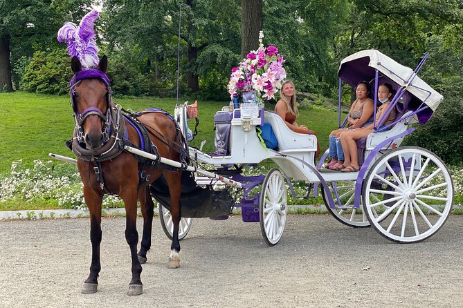 NYC Central Park Horse Carriage Rides (Winter sale) - Photo stops: when the driver’s help matters most