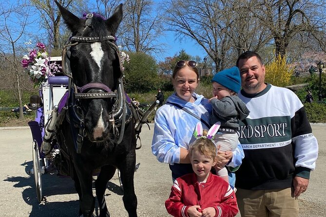 NYC Central Park Horse Carriage Rides (Winter sale) - Group size, comfort, and who this is best for