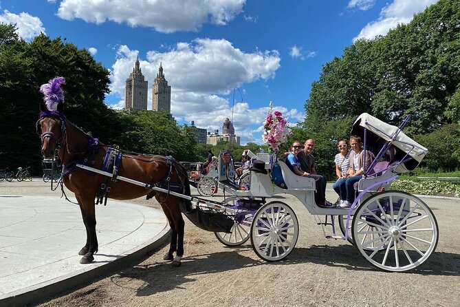 NYC Central Park Horse Carriage Rides (Winter sale) - Winter comfort: blankets, carrots, and why the ride feels smoother than you expect