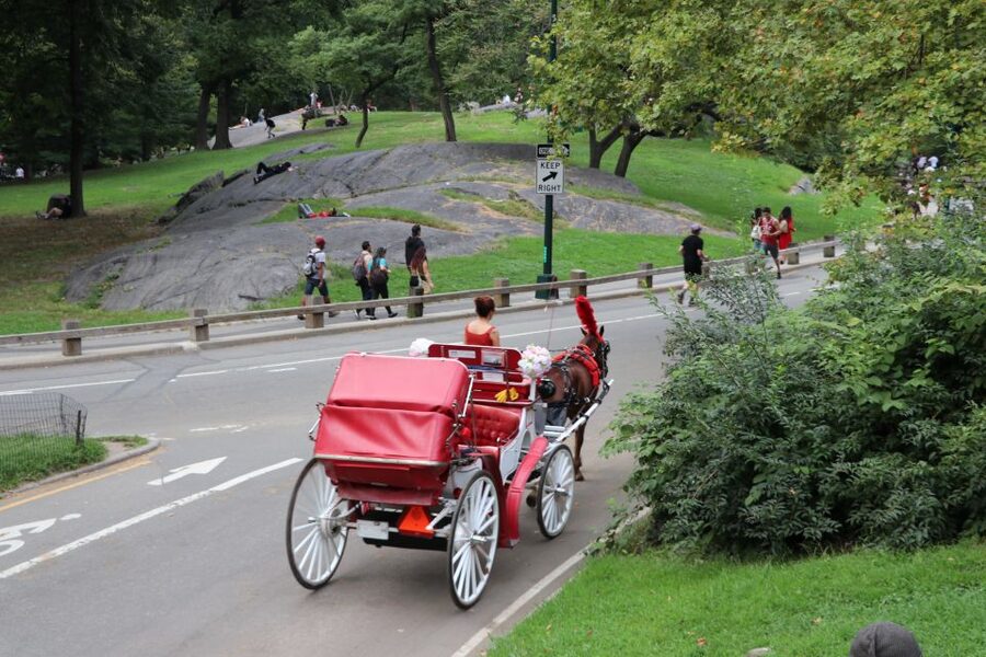 NYC: Central Park Horse-Drawn Carriage Ride (up to 4 Adults) - What you will see on the ride, from Balto to Strawberry Fields