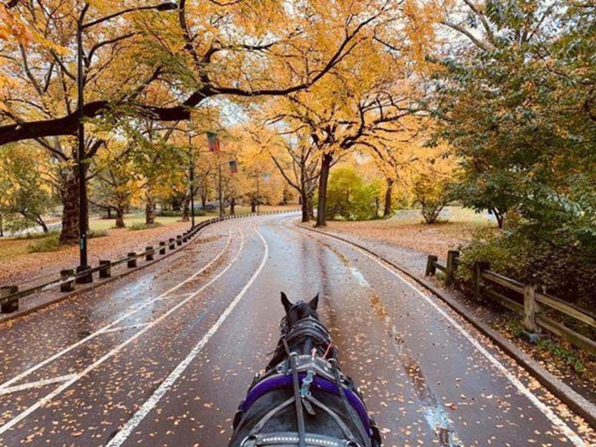 NYC: Central Park Horse-Drawn Carriage Ride (up to 4 Adults) - Bethesda Fountain and Angel of the Waters: the photo pause you will care about later
