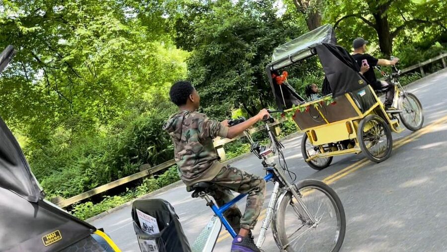 NYC: Central Park Pedicab Highlights Tour - Celebrity apartments and movie locations: how your guide changes the whole ride