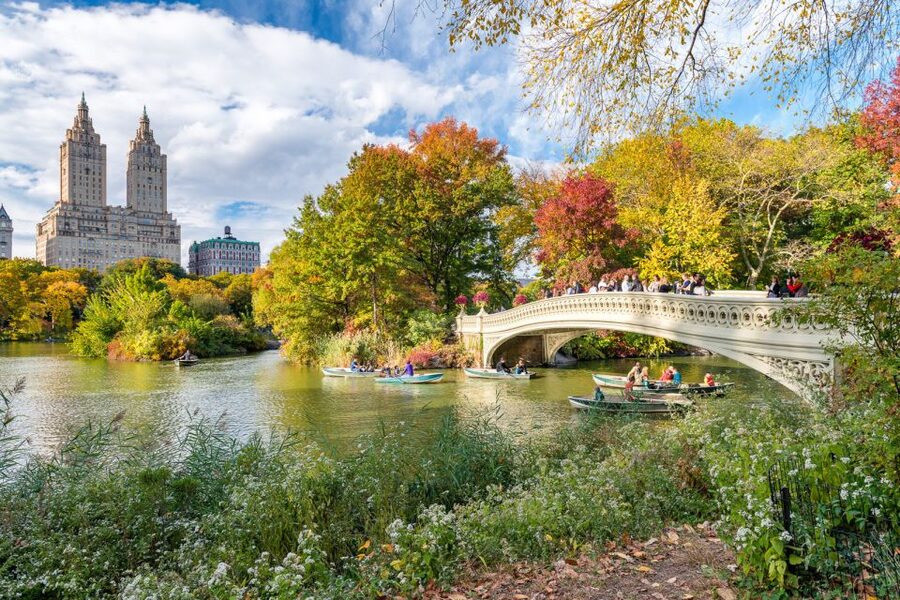 NYC: Central Park Pedicab Highlights Tour - How stops are handled: optional, but timing is the key