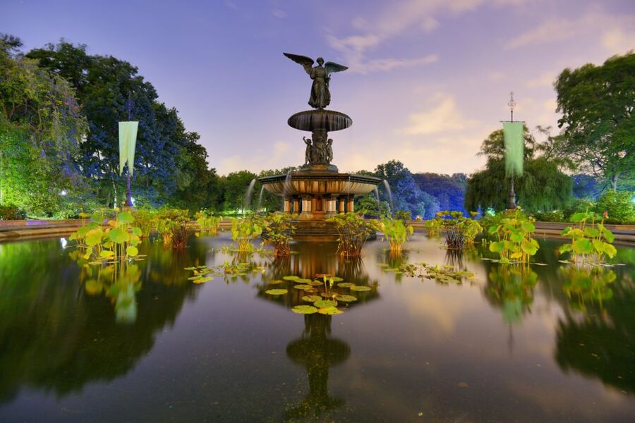 NYC: Central Park Pedicab Highlights Tour - The guides: fun storytelling plus real photo help