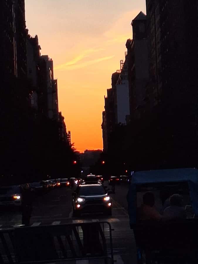 NYC: Central Park Pedicab Tour - Quick practical tips for your pedicab ride