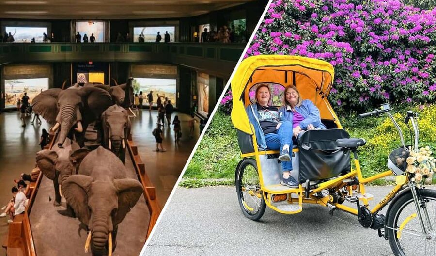 NYC: Central Park Pedicab Tour and Natural History Access - Key Highlights Worth Your Time