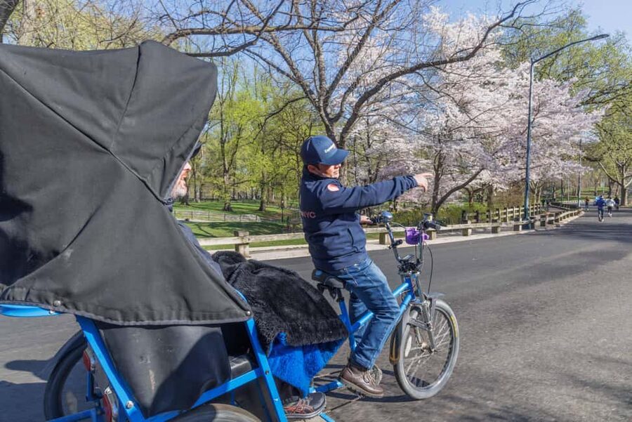 NYC: Central Park Pedicab Tour and Natural History Access - Why Central Park by Pedicab Feels Easier Than “Just Walk”