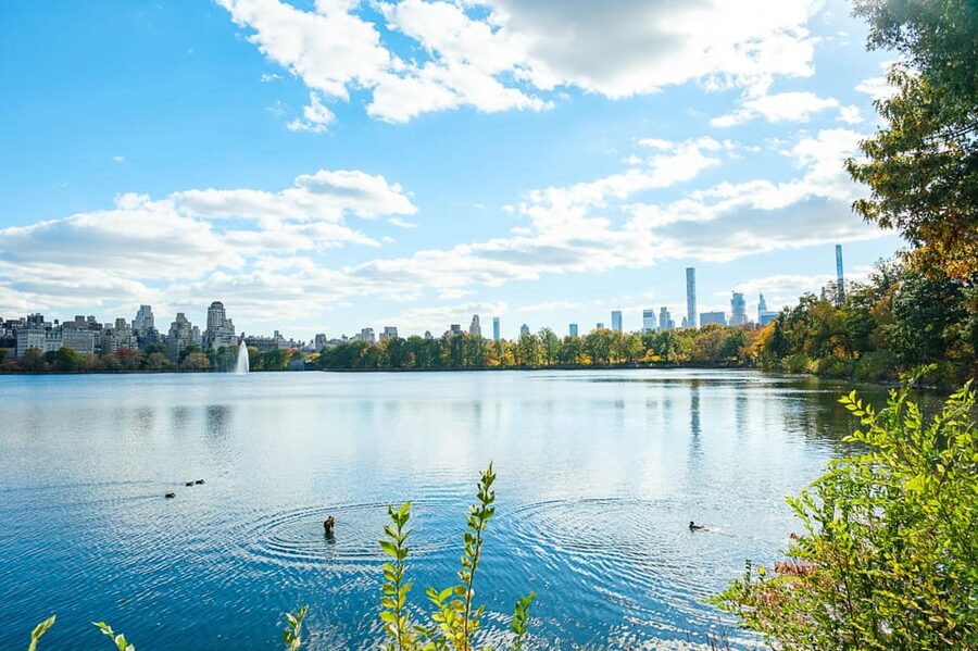 NYC: Central Park Pedicab Tour with Photo Stops - Belvedere Castle and Strawberry Fields: two moods in one ride