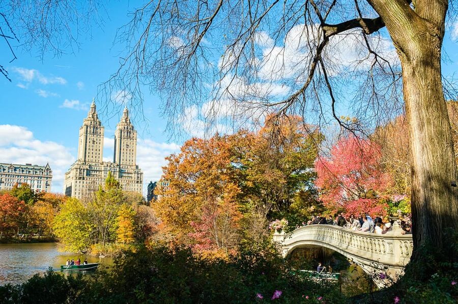 NYC: Central Park Pedicab Tour with Photo Stops - Plaza Hotel viewpoints and the city edge of the park