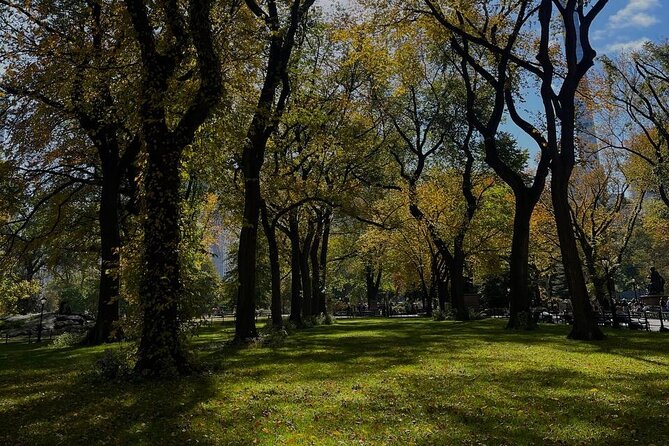 NYC Central Park Pedicab Tours - Cherry Hill, Bow Bridge, and The Lake: Classic Views That Feel Romantic