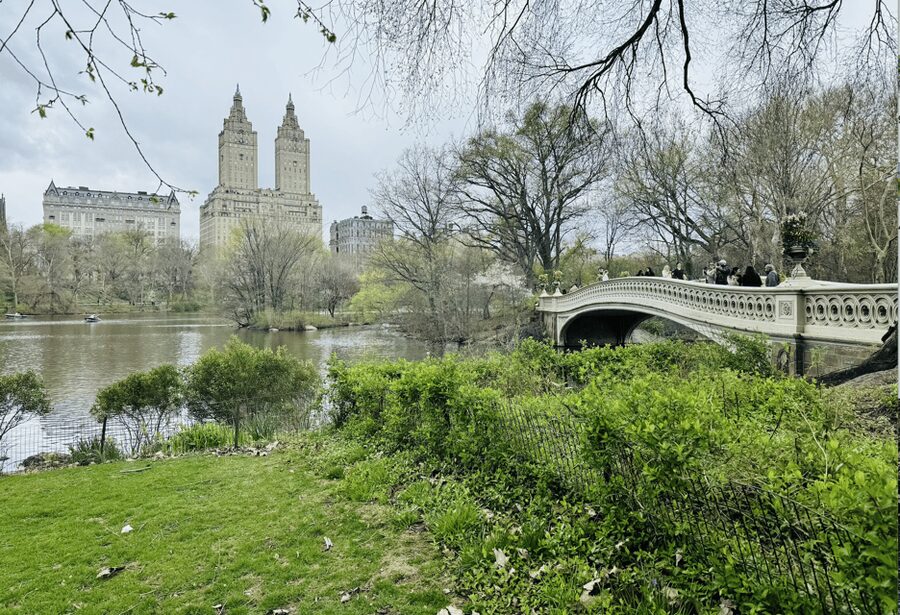 NYC: Central Park Rickshaw Tour / Private and Guided - Movie Filming Locations Beyond the Big Three