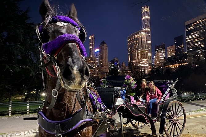 NYC Central Park & Rockefeller Center Private Horse Carriage Tour - Central Park stops: carousel, chess area, Dairy, and the zoo zone