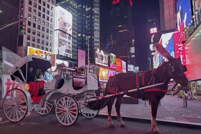 NYC Central Park & Rockefeller Center Private Horse Carriage Tour - What private group format really changes for your ride