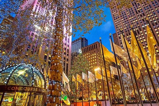 NYC Central Park & Rockefeller Center Private Horse Carriage Tour - Comfort, weather, and horse-friendly reality checks
