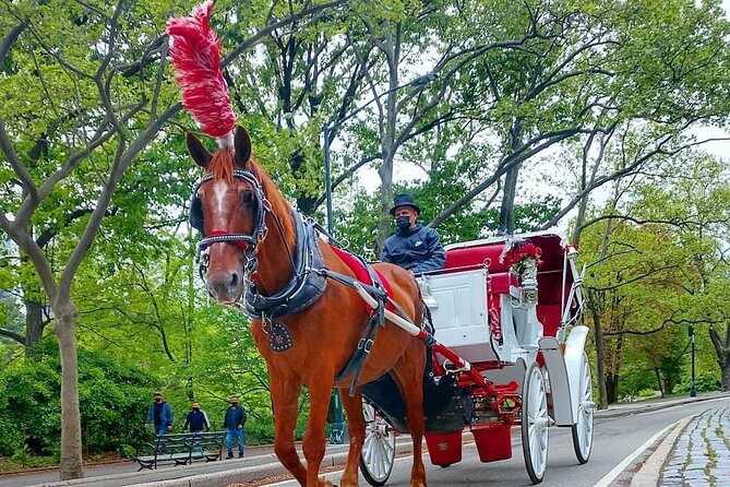 NYC Central Park VIP Horse and Carriage Ride - Entering Central Park from the carriage seat