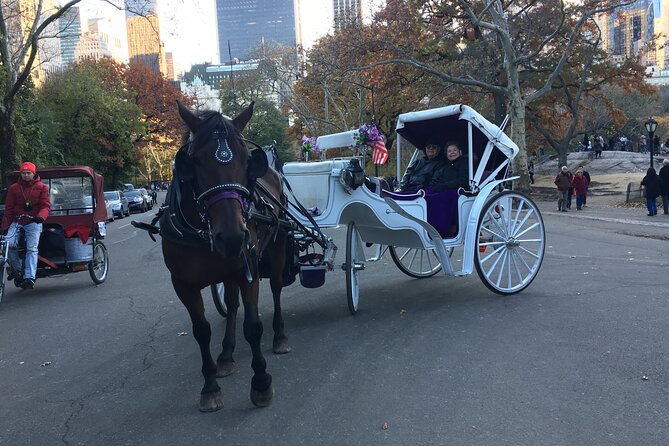 NYC Central Park VIP Horse and Carriage Ride - The driver and the private format, why it feels different