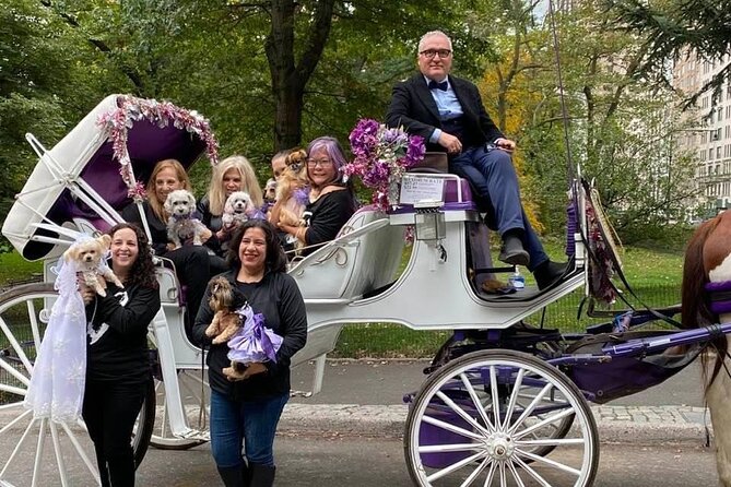 NYC Central Park VIP Horse and Carriage Ride - Photo stops, how to get the shot without ruining the vibe