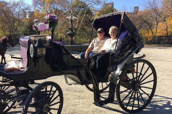 NYC Central Park VIP Horse and Carriage Ride - The Big Loop: landmark by landmark