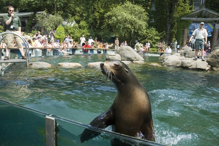 NYC: Central Park Zoo Entry Ticket & Manhattan Walking Tour - Who this tour fits best, and who might want to adjust