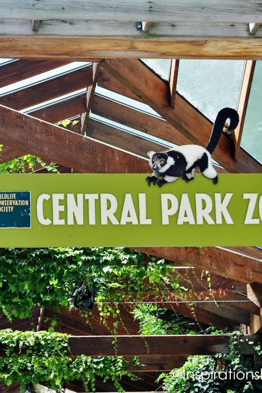 NYC: Central Park Zoo Entry Ticket & Manhattan Walking Tour - Chinatown and Little Italy: culture stops that change the air