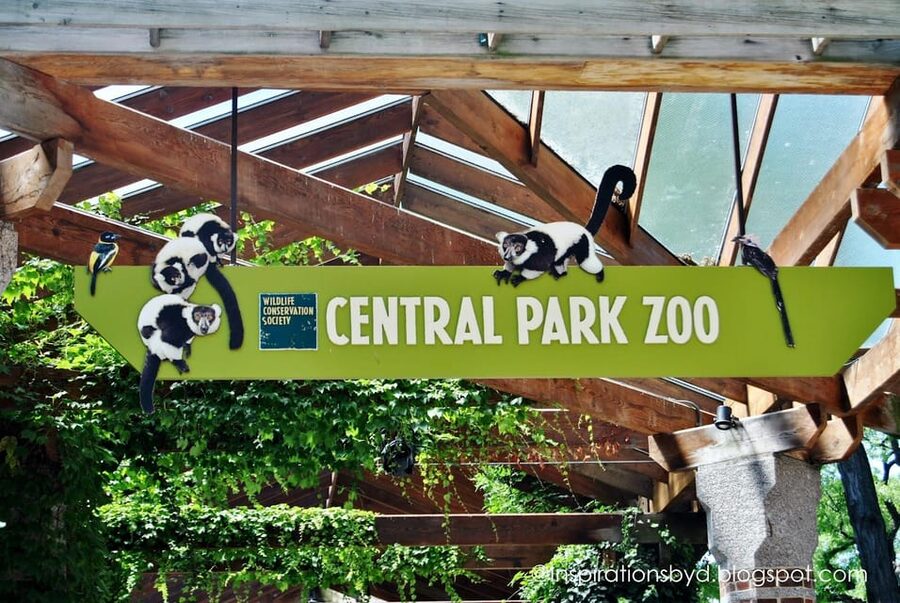 NYC: Central Park Zoo Entry Ticket & Manhattan Walking Tour - Central Park Zoo in about 2 hours: what you can realistically see