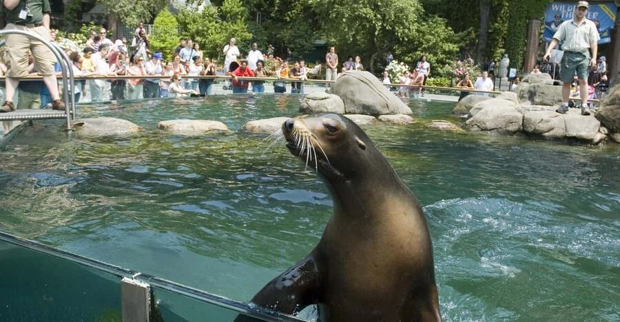 NYC: Central Park Zoo Entry Ticket & Manhattan Walking Tour - Price and value: is $57 per person a smart deal?