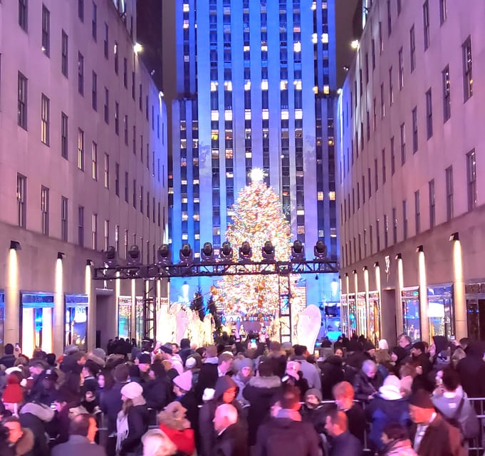 NYC: Christmas Lights Horse Carriage Ride - Key Highlights Worth Your Time