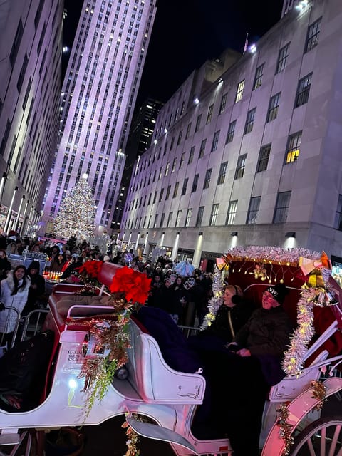 NYC: Christmas Lights Horse Carriage Ride - Finding Your Carriage at Central Park, 59th and 7th