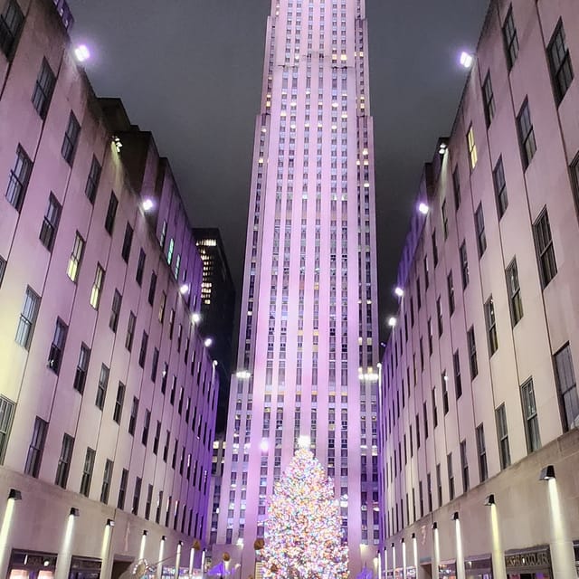 NYC: Christmas Lights Horse Carriage Ride - 5th Avenue in Winter: Roof Comfort and the Saks Light Show Moment