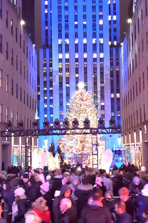 NYC: Christmas Lights Horse Carriage Ride - Rockefeller Center, St. Patrick’s Cathedral, and the Winter Skyline