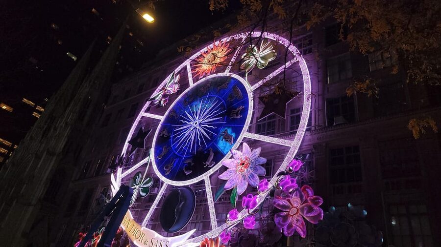 NYC: Christmas Lights Horse Carriage Ride - Tips for Comfort, Horses, and Getting Great Shots