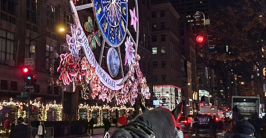 NYC: Christmas Lights Horse Carriage Ride - Should You Book This NYC Christmas Lights Horse Carriage Ride?