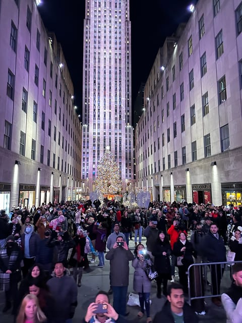 NYC: Christmas Lights Horse Carriage Ride - Those First Midtown Pass-By Stops Actually Matter for the Mood